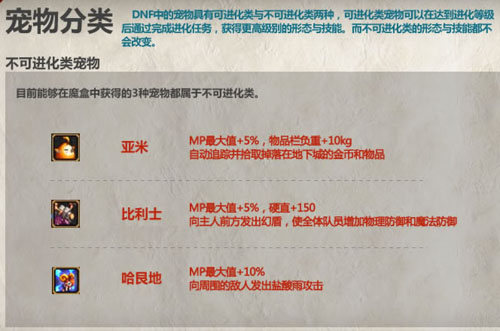 宠物分类